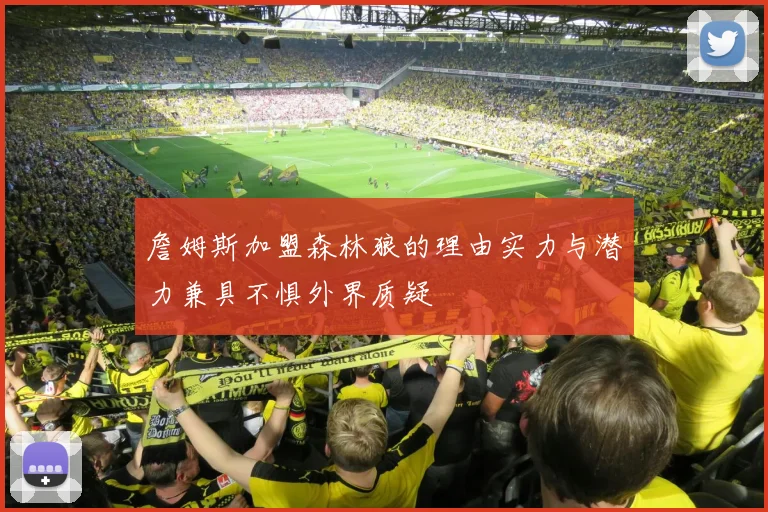 詹姆斯加盟森林狼的理由实力与潜力兼具不惧外界质疑